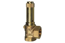 RIEGLER 105635-221.07-15,0 Valve de sécurité d'angle liquide G 1 1/2 Pression de réponse 15 bar, 1 pièce