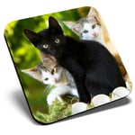 Square Single Coaster - Cute Kittens Black Tabby Ginger Cat  #24573