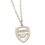 Arsenal FC Crest Halsband & Hänge One Size Silver Silver One Size