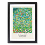 Big Box Art Apple Tree with Border by Gustav Klimt Framed Wall Art Picture Print Ready to Hang, Black A2 (62 x 45 cm)