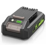 ASUNCELL Greenworks Batterie de rechange, 24 V, 4,0 Ah, 4000 mAh, Li-Ion, compatible avec les outils Greenworks 24 V 29842 29852 BAG708 BAG711 20352 22232 2508302