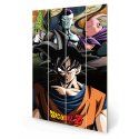 Dragon Ball Z - Under The Shadow Of Evil - Impression Sur Bois 40x59c