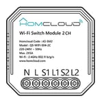 Homcloud SM2 Interrupteur Intelligent Wi-FI 2 canaux à encastrer, contrôle par Application, Alexa ou Google
