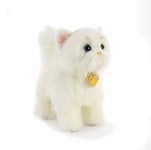 Plush & Company 15945 Peluche Chat Blanc L.28 CM Blanc Cat Blanc Chat