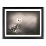 Light Upon The Barn Owl Modern Art Framed Wall Art Print, Ready to Hang Picture for Living Room Bedroom Home Office Décor, Black A2 (64 x 46 cm)