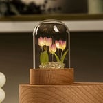 Tulip Night Light Handmade DIY Material Tulip Girl Living Room Night Light5606