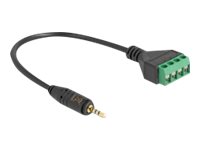 Delock - Audio-Adapter - 2,5 Mm 4-Stifts Stereouttag Hane Till 4 Stifts Terminalblock - 20 Cm - Svart - 4.25 Mm Pitch, Pin Assignment: 1:1