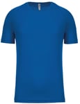 T-Shirt Sport - Running - Homme - Pa438 - Bleu Roi