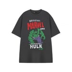 Hulk Mens The Incredible Hulk Short-Sleeved T-Shirt - 3XL