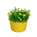 12 Packs, 20 Litres Small Flexi Tub Garden Home Storage Container Buckets Yellow