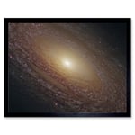 Hubble Space Telescope Image Spiral Galaxy NGC 2841 Blue Pink Emission Nebula Starbirth Region And A Majestic Disk Of Stars And Dust Lanes Art Print F