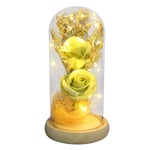 jieGorge Beauty and The Rose,Enchanted Flower with LED Light &Red Roses. Birthday, Home Decor for Easter Day (Green)