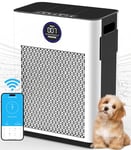 Air Purifiers for Home,FRESHDEW Air Purifiers for Bedroom Up to 170m² With Smart WiFi,Air Quality and Light Sensors,Double-sided Air Inlet,H13 HEPA Fliter for Pet Odor, Dust, Smoke, Wildfire 22dB