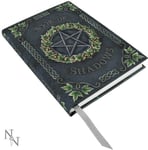 IVY BOOK OF SHADOWS Embossed Witch Journal Pentagram Spell Book Wicca Pagan 17cm