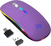 Souris Bluetooth Ipad, Rgb Souris Sans Fil Rechargeable, Avec Récepteur Usb, Silencieuse, Bt 5.1+2.4G Deux Modes Disponibles, 1000-1600 Dpi Réglable Pour Mac Os/Windows/Andriod/Microsoft