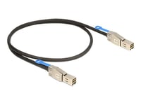 Delock - Sas Ekstern Kabel - Sas 12Gbit/S - 36-Pins 4X Skjermet Mini Multilane (Hann) Til 36-Pins 4X Skjermet Mini Multilane (Hann) - 2 M - Låst