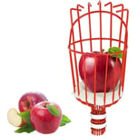 Cueille Fruits métallique avec Griffe, Outil de cueillette de Fruits métal, Outils de Jardinage pour récolte de Pommes, Agrumes, Poires, Pêches
