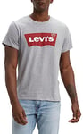 Levi's Men's Graphic Set-In Neck T-Shirt, Grey, L