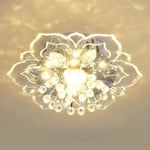 20cm 9w Modern Crystal Led Taklampa Armatur Hallway Pendellampa Krona Yellow 20x5cm