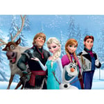 Poster XXL intisse La Reine des Neiges Portraits d'Elsa Anna Olaf Sven Kristoff Hans de Disney 155X115 CM