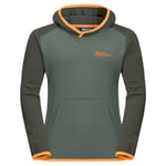 Jack Wolfskin Active Hooded Sweatshirt Hedge Green 116