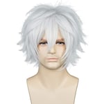 Wekity Unisex Anime Kort Cosplay Peruk med Lugg Värmebeständigt Hår, Silver Vit, wz-1221