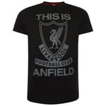 Liverpool FC Mens This Is Anfield T-Shirt - L