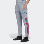 Olympique Lyonnais Tiro 21 Training Pants