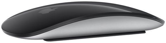 Apple Magic Mouse (sort)