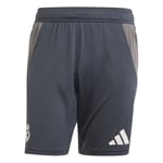 Real Madrid Shorts Tiro 24 EU - Grå/Grå/Putty Mauve - adidas, storlek X-Small