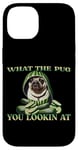 iPhone 14 FUNNY PUG WHAT THE PUG YOU LOOKIN AT DOG SHOW PUG SHOW DOGS Case