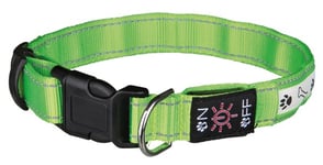 Lysande Halsband Trixie Flash Illuminous Grön S-M 30-40 cm