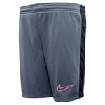 Nike Treningsshorts Dri-FIT Academy 23 - Grå/Rosa Barn, størrelse XS: 122-128 cm