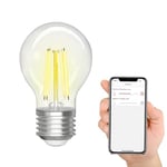 Levitantes Ampoule filament smart wifi, ampoule sphérique G45 compatible avec Alexa et Google Home, ampoule E27 4.5W 470 Lm, Wi Fi smart bulb transparent (G45)