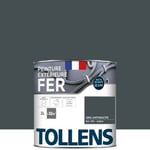 Peinture extérieure fer Tollens brillant gris anthracite 2L