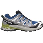 Salomon Mens XA Pro 3D V9 (Blå (NAUTICAL BLUE/ALLOY/CITRON) 48)