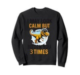 I May Look Calm But In My Head Ive Bitten You 3 Times Sweatshirt