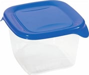 Curver Food Container "Fresh&Amp Go" Square 1.2L /Blue/ Transparent