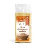 IL PANE DI ANNA Gluten Free Breadcrumbs 500 G