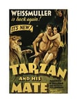 Wee Blue Coo Movie Film Tarzan Mate Jane Weissmuller Jungle Lion Wall Art Print