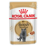 Royal Canin British Shorthair Adult i sås - 48 x 85 g