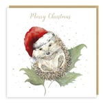 Christmas Cards 5 Pack Festive Hedgehog – Sarah Reilly Love Country Xmas Cards