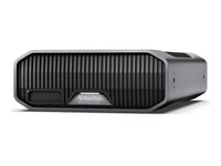 SanDisk Professional G-DRIVE PROJECT - Disque dur - Enterprise - 22 To - externe (de bureau) - USB 3.2 Gen 2 / Thunderbolt 3 (USB-C connecteur) - 7200 tours/min - gris