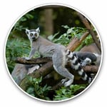 2 x Vinyl Stickers 15cm - Cool Tailed Lemur Madagascar Cool Gift #12667