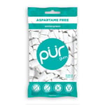 Pur Gum Wintergreen