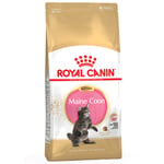 Økonomipakke: 2 små poser Royal Canin kattefôr - Maine Coon Kitten (2 x 4 kg)