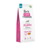 Brit Care Grain-free Puppy Lohi viljaton kuivaruoka pennuille, 12 kg