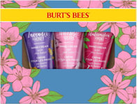 Burt's Bees Hand Cream Gift Set with Shea Butter, Lavender & Honey, Wild Rose &