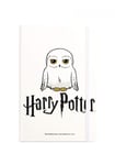 Harry Potter Hedwig Owl A5 Checked Hardcover Notebook Birthday gift Kids white