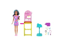 Barbie Dukke Mattel Barbie Skipper Første Jobb Ørehull Hkd78